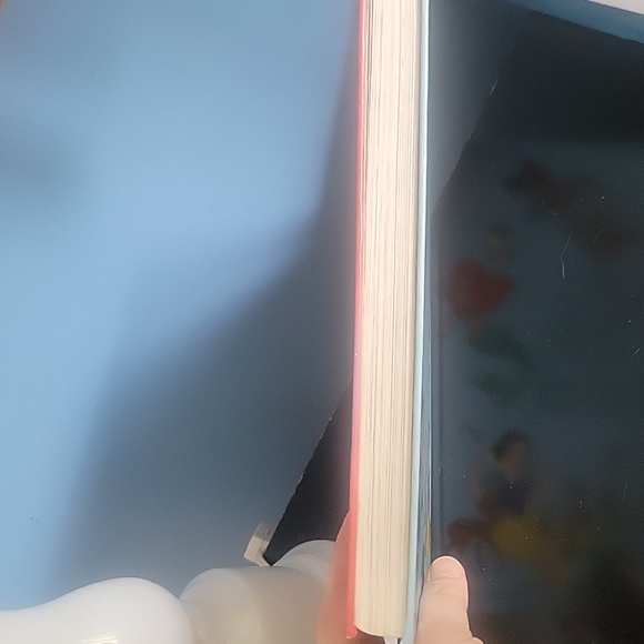 Golden Books Walt Disney's StoryLand - Picture 9 of 10